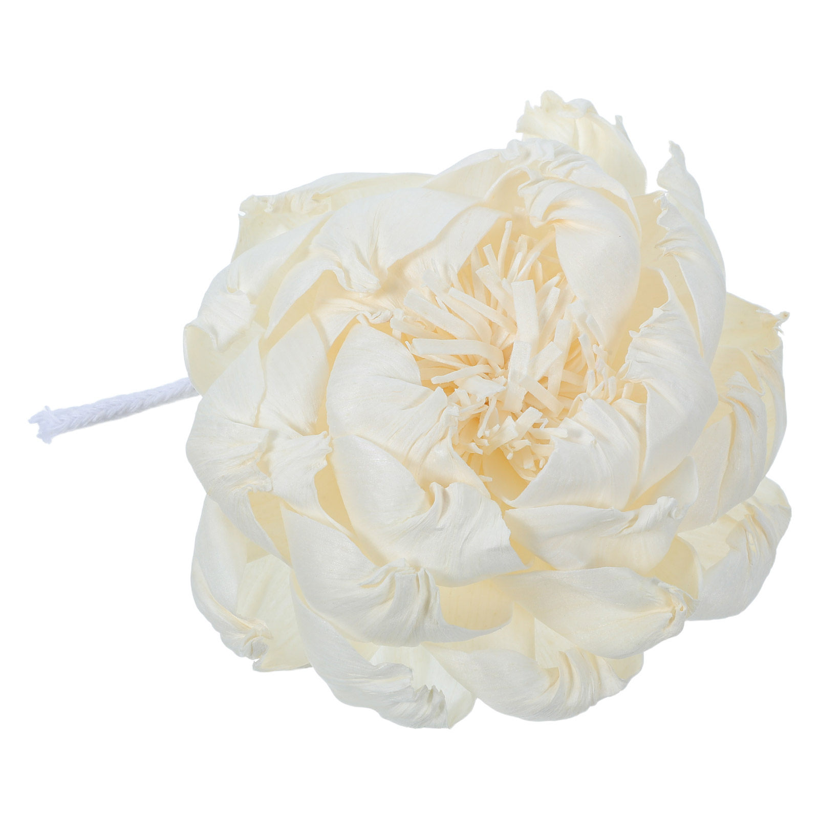 Diffuser Aroma Bunga Peony 12C - Home Fragrance Essential Oils ulasan dan harga
