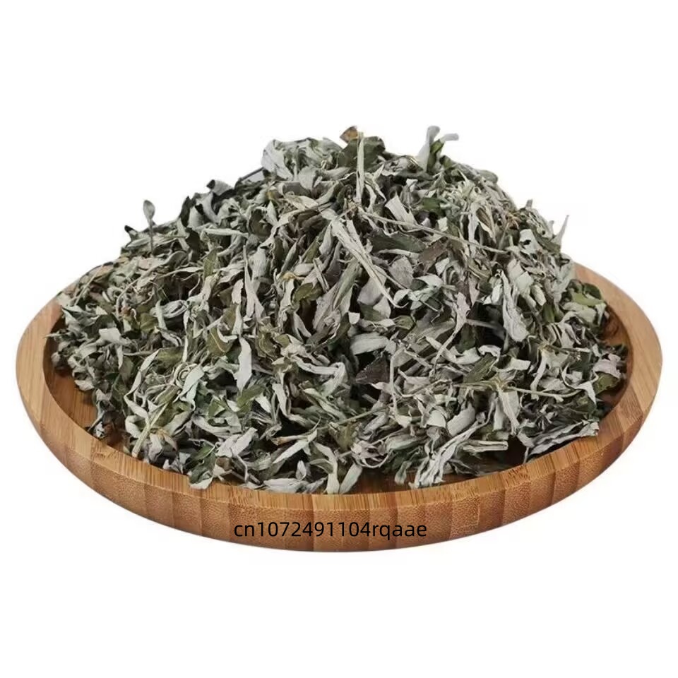 Daun Artemisia Argyi Kering Or - Home Fragrance Long Lasting ulasan dan harga